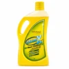 Patanjali Germi X Floor Cleaner – 1L